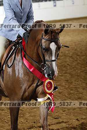 Proof 10r9_5837