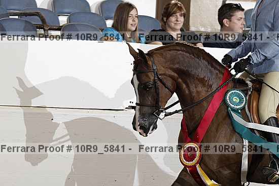 Proof 10r9_5841