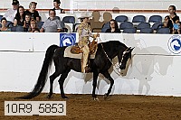 10r9_5853 proof