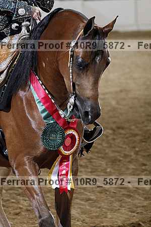 Proof 10r9_5872