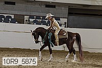 10r9_5875 proof