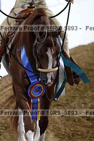 Proof 10r9_5893