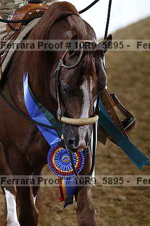 Proof 10r9_5895