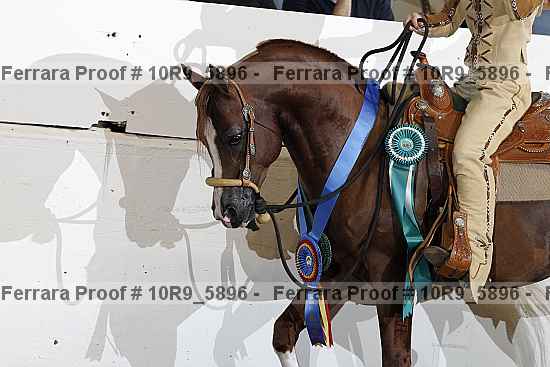 Proof 10r9_5896
