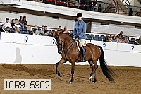 10r9_5902 proof