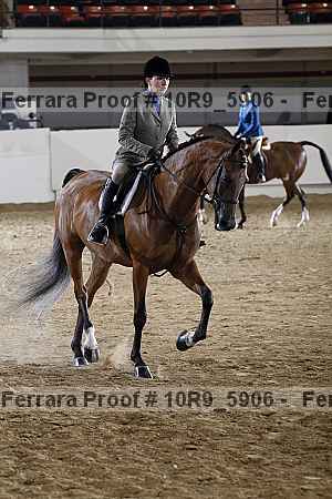 Proof 10r9_5906