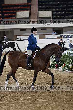 Proof 10r9_5909