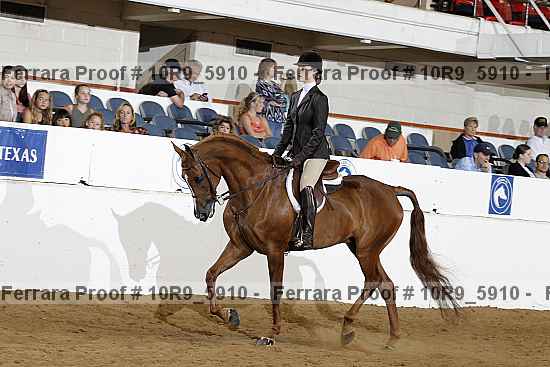Proof 10r9_5910