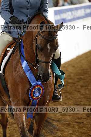 Proof 10r9_5930