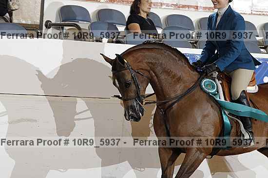 Proof 10r9_5937