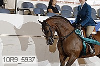 10r9_5937 proof