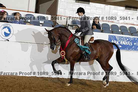 Proof 10r9_5941