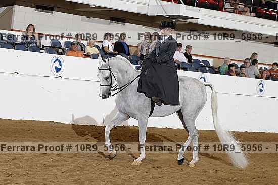 Proof 10r9_5956