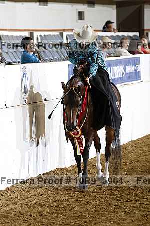 Proof 10r9_5964