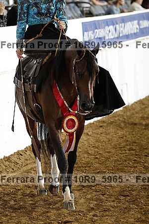 Proof 10r9_5965
