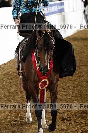 Proof 10r9_5976