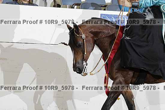 Proof 10r9_5978