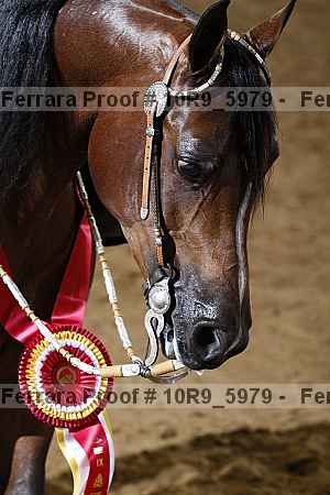 Proof 10r9_5979