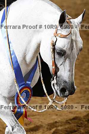 Proof 10r9_5980