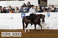 10r9_6000 proof
