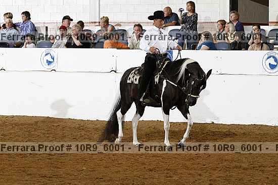 Proof 10r9_6001