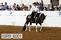 10r9_6001 proof