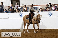10r9_6002 proof