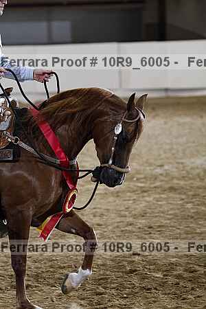 Proof 10r9_6005