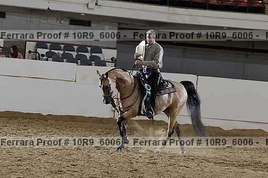 Proof 10r9_6006