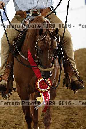Proof 10r9_6016