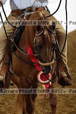 Proof 10r9_6017