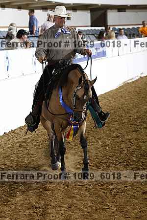 Proof 10r9_6018
