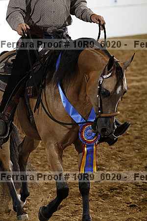 Proof 10r9_6020