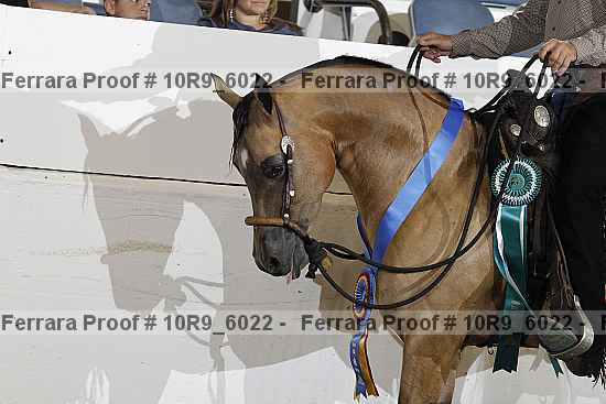 Proof 10r9_6022