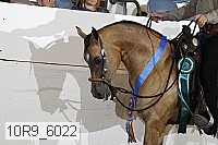 10r9_6022 proof