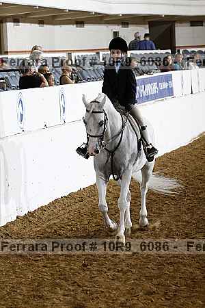 Proof 10r9_6086