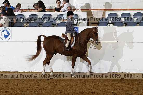 Proof 10r9_6091