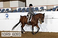 10r9_6093 proof