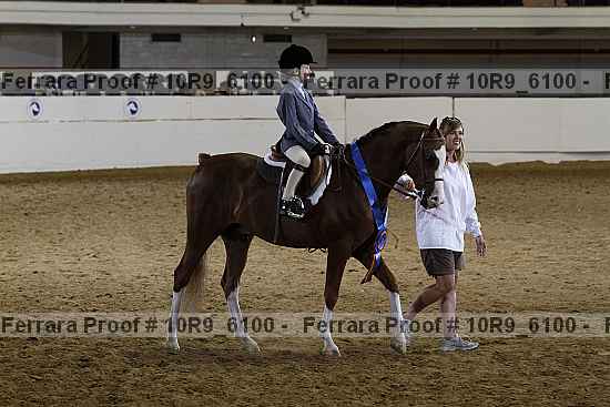 Proof 10r9_6100