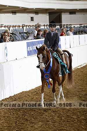 Proof 10r9_6108