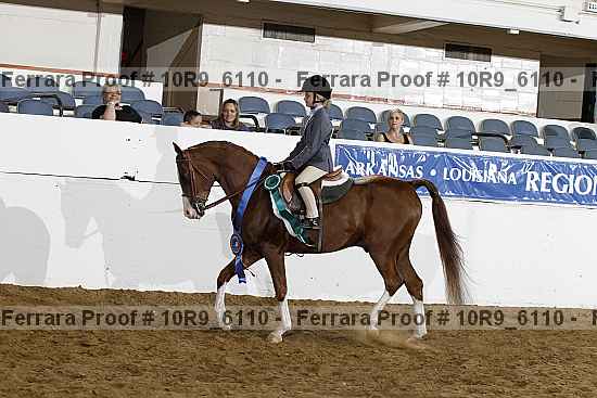 Proof 10r9_6110