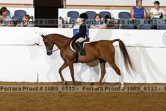 Proof 10r9_6113