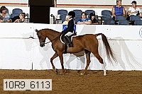 10r9_6113 proof