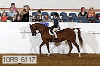 10r9_6117 proof
