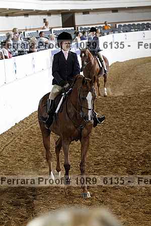 Proof 10r9_6135