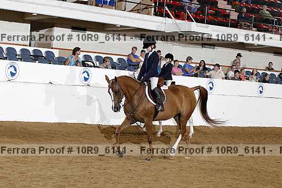 Proof 10r9_6141