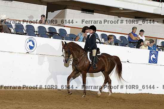Proof 10r9_6144