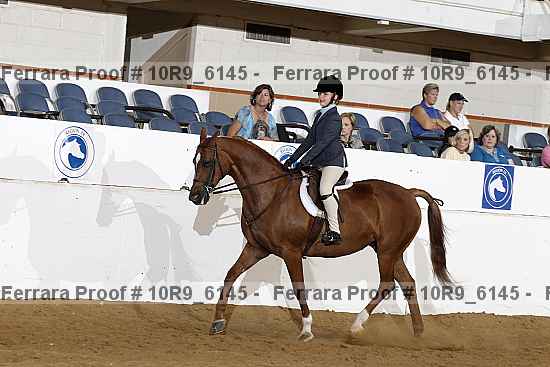 Proof 10r9_6145