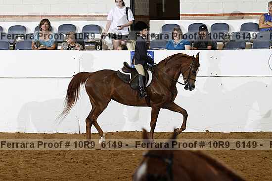 Proof 10r9_6149