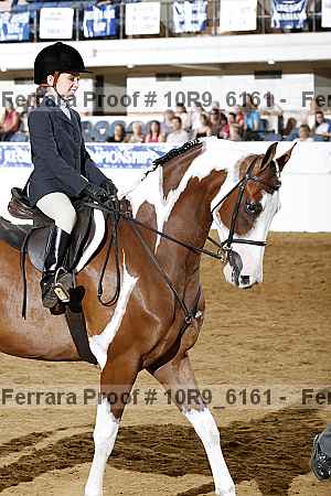 Proof 10r9_6161